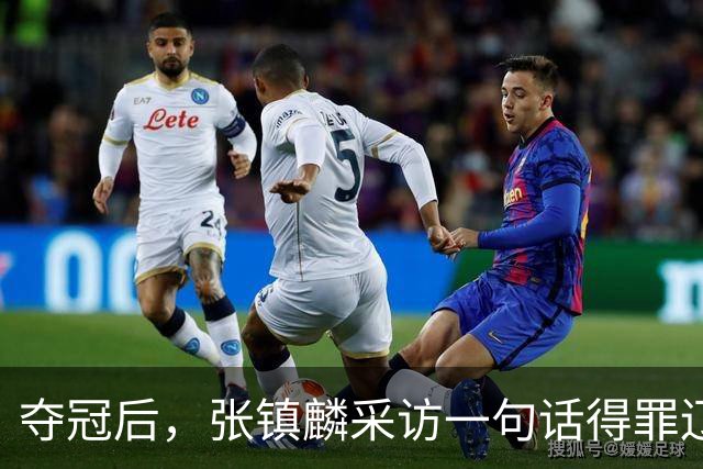 夺冠后，张镇麟采访一句话得罪辽宁，辽蜜：有本事到四川证明价值