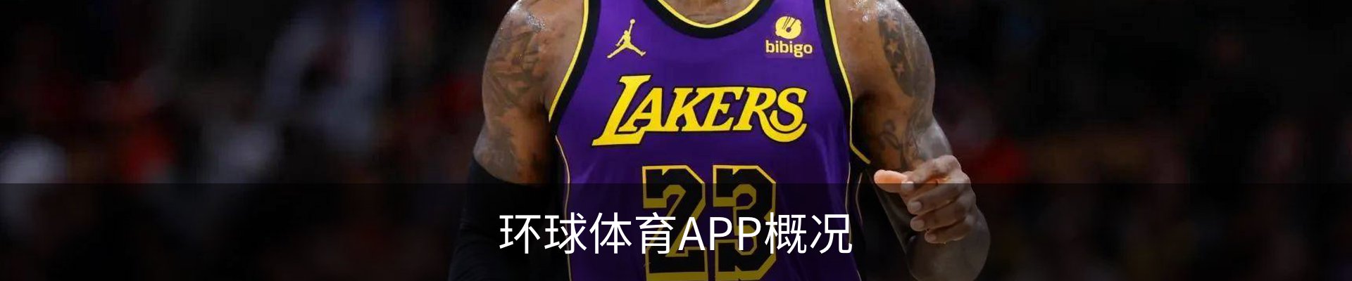 环球体育APP概况